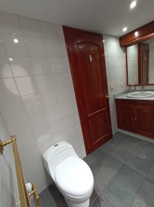 IMG_20220307_160250 toilet 1